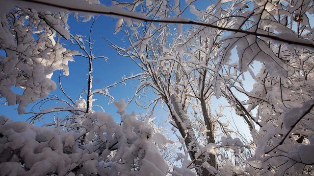 its sooo fresh on winter!