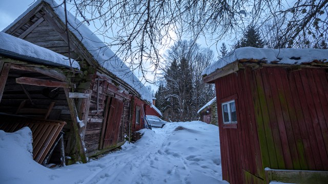 very nice place in the forest!