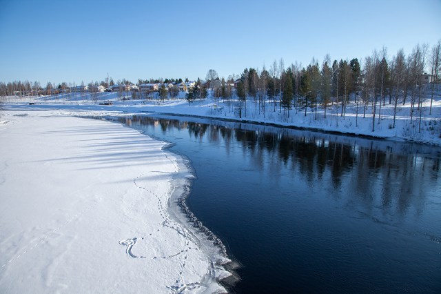 footprints of an otter