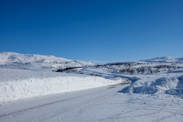 the tundra on Norwegian side