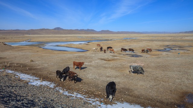 not long after I took this pic... I saw a horseman coming towards me