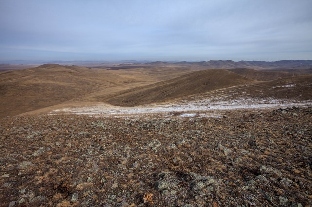 nope... no Takhi here...