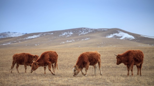 ...and some delicious dinner mmm...