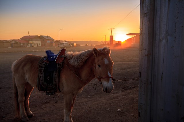 Mongolian style carpark