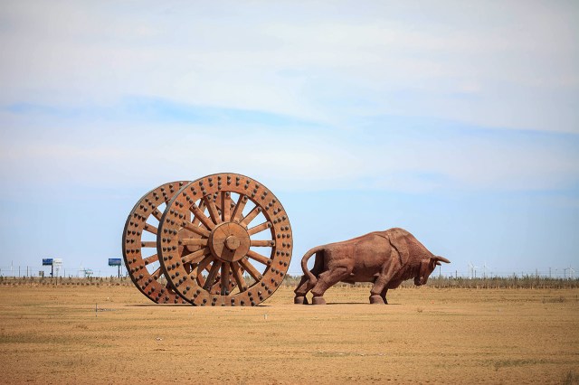 brown bull near Sonid Youqi