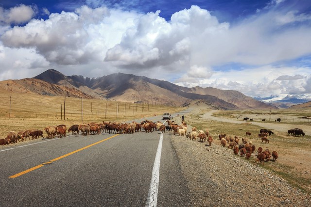 the Pamir version of bad traffic