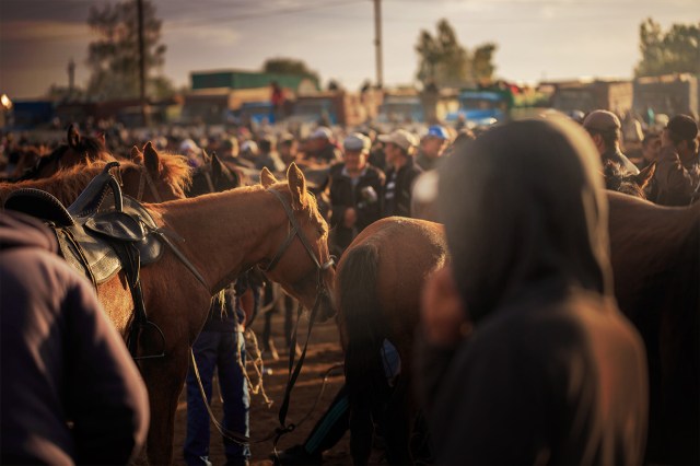 Sunday animal bazaar in Karakol