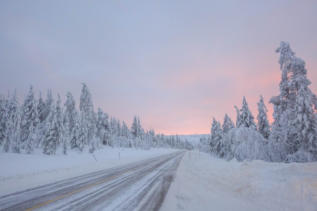 the long drive through the Finnish forest