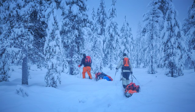 us going deeper in the forest
