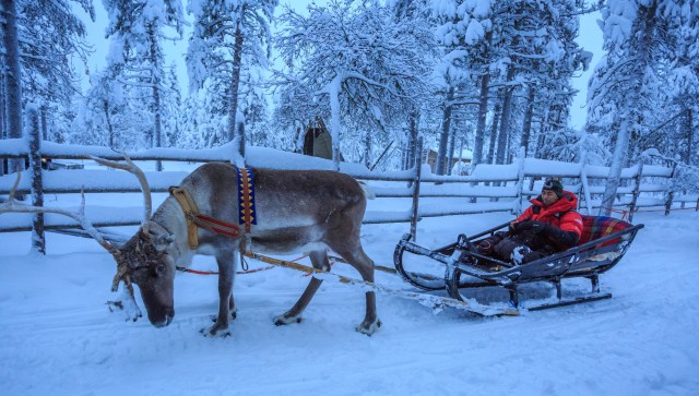the malay santa claus. yes... from the rainforest!