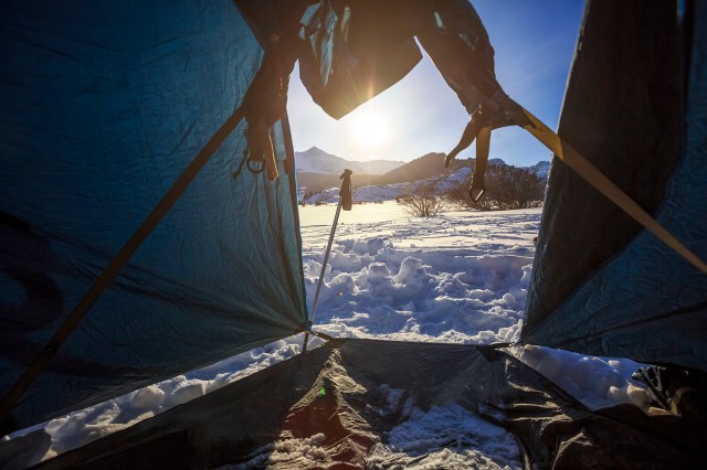 get to watch this almost every morning during breakfast