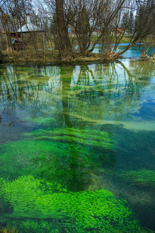 this picture was taken in the middle of the city of Bihac. There was a bar behind me... but this picture looks like it was taken somewhere in the wild