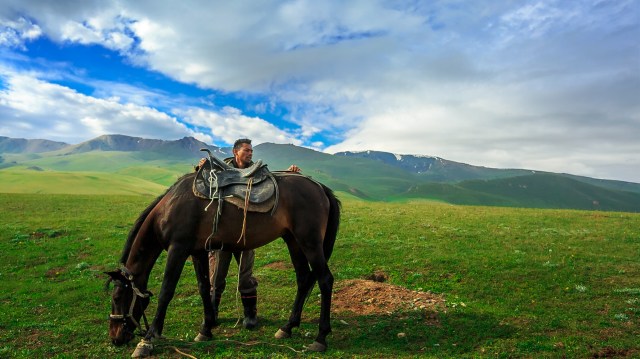 usual routine preparing my horses for the ride in the morning