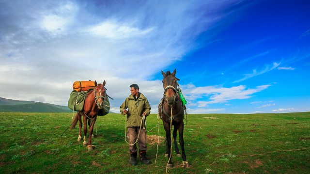 took me almost half an hour to pack everything on both horses